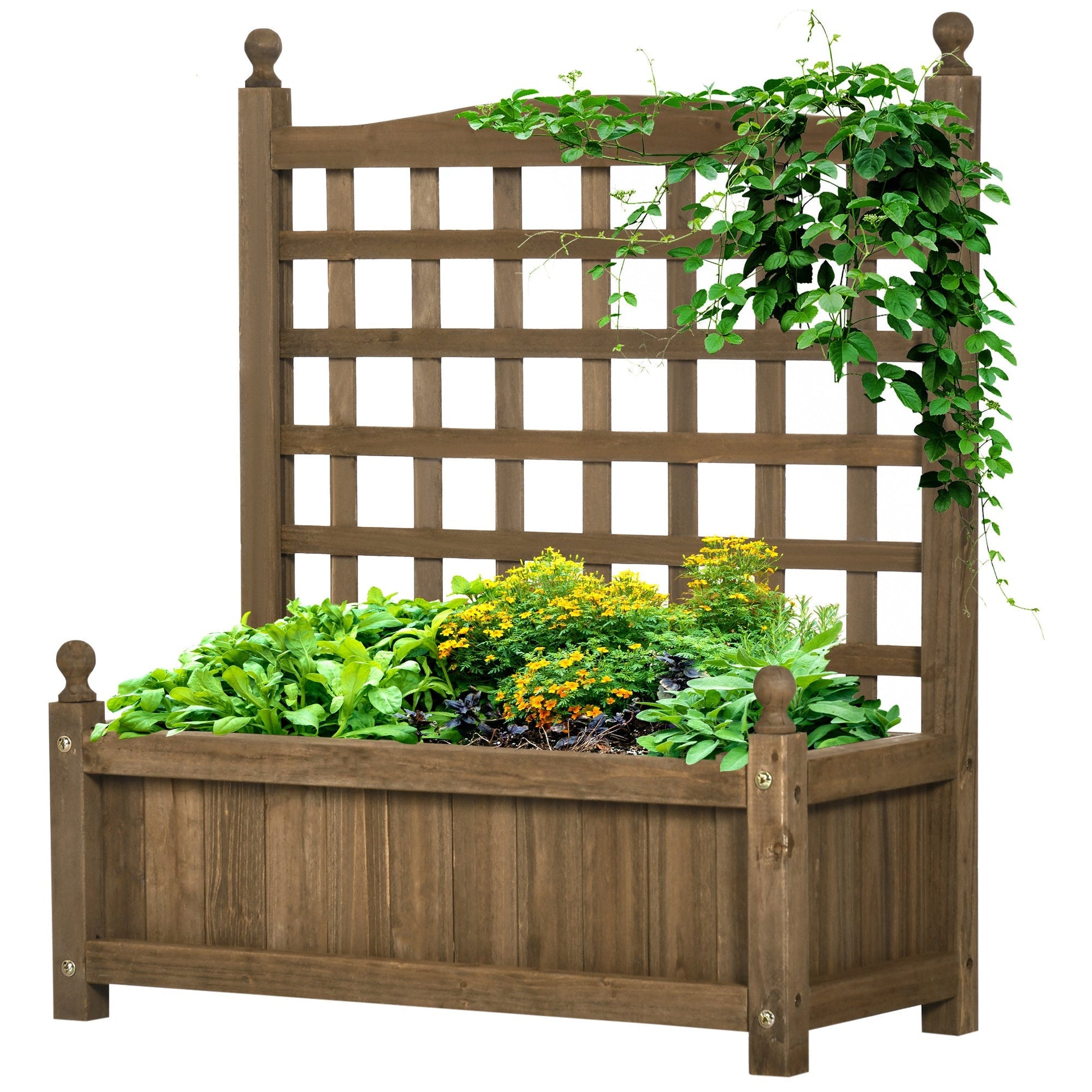Garden Planters with Trellis for Climbing Vines, 64 x 28 x 75 cm, Brown